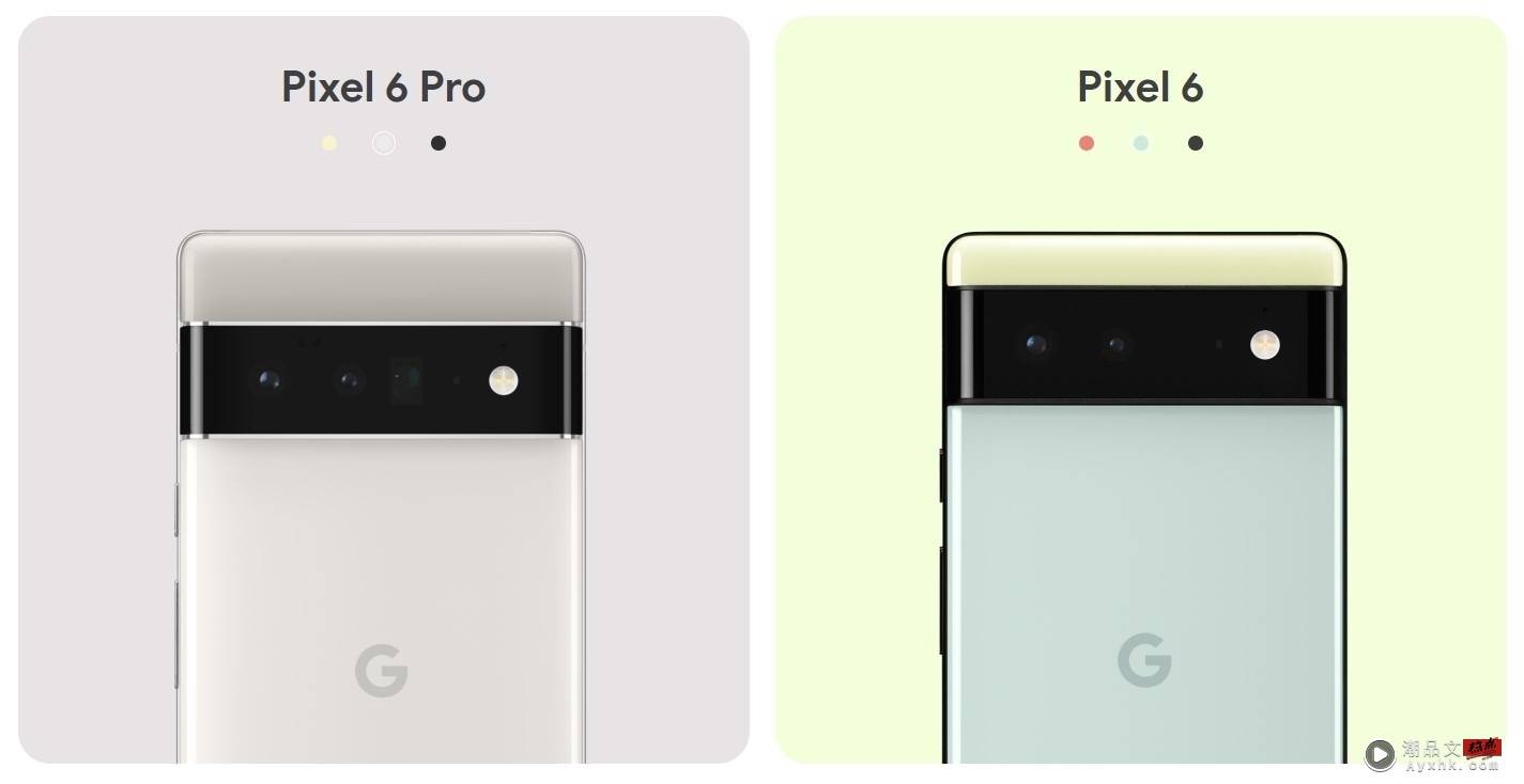 Google Pixel 6 详细规格、中国台湾售价、开卖日期曝光 数码科技 图1张